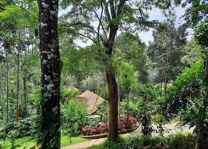 Willow Resorts