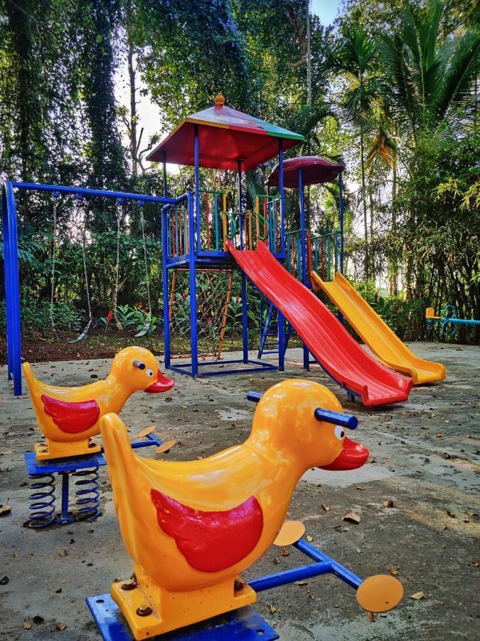 Willow Resort Ambalavayal