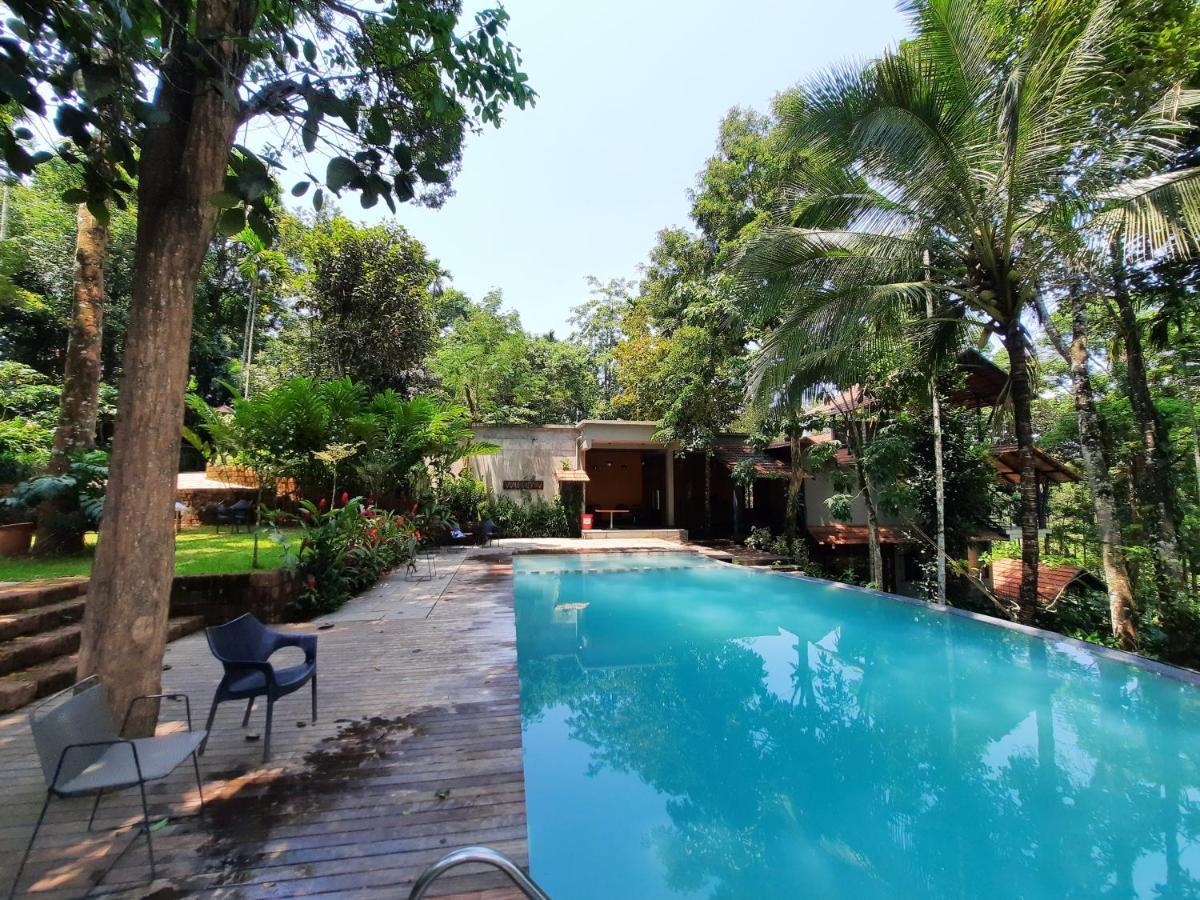 Willow Resort 3*