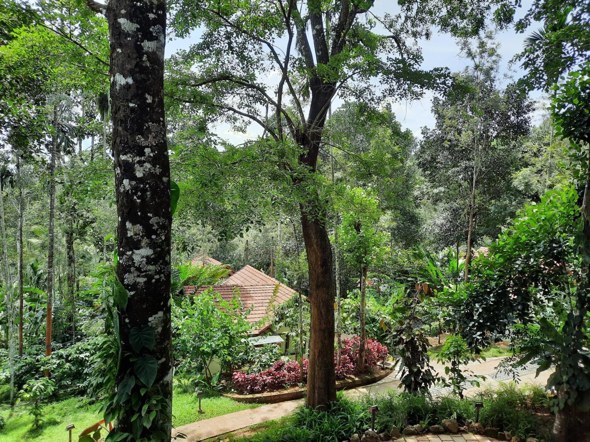 Resort Willow 3*