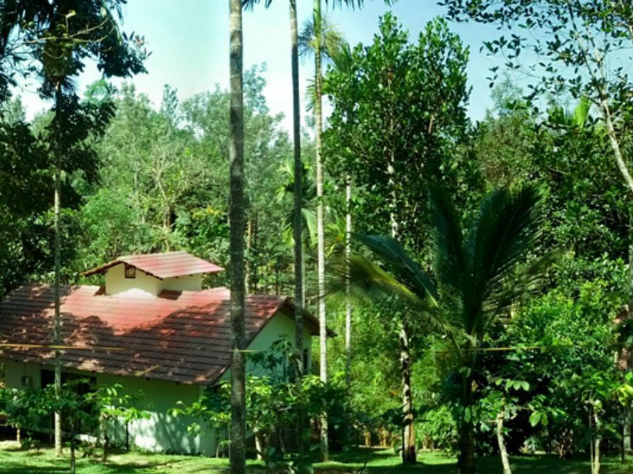 Willow 3* Ambalavayal