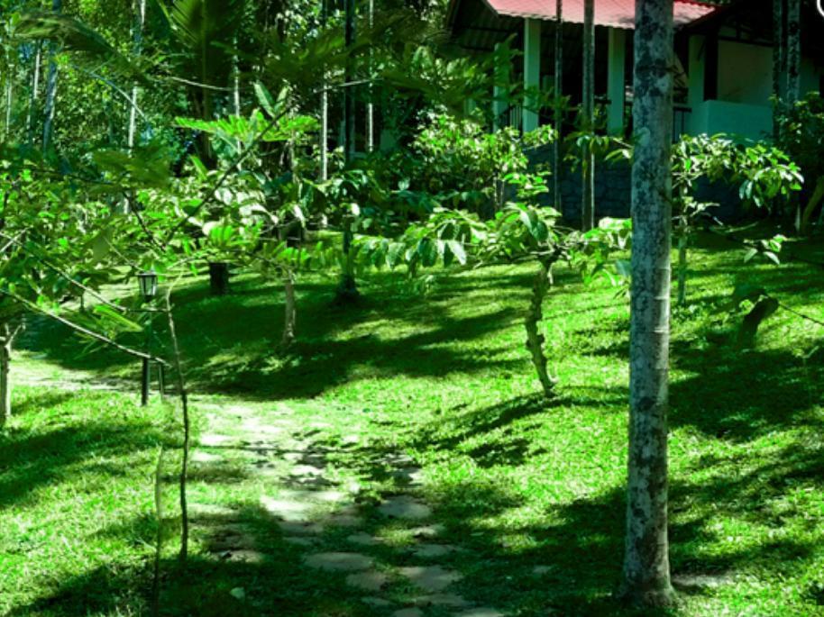 Willow Resort 3*